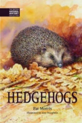 Hedgehogs - Pat Morris (ISBN: 9781873580905)