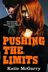 Pushing the Limits - Katie McGarry (ISBN: 9781848453265)