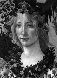 Botticelli - Lionello Venturi (ISBN: 9780714869674)