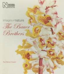 Bauer Brothers - Paul Martyn Cooper (ISBN: 9780565093594)