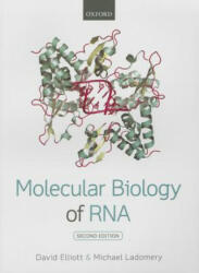 Molecular Biology of RNA - David Elliott, Michael Ladomery (ISBN: 9780199671397)