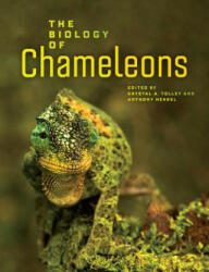 Biology of Chameleons - Krystal Tolley (ISBN: 9780520276055)