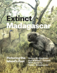 Extinct Madagascar - Steven M. Goodman, William L. Jungers (ISBN: 9780226143972)