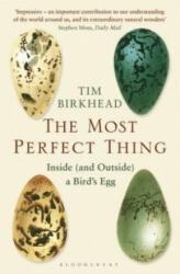 Most Perfect Thing - Tim Birkhead (ISBN: 9781408851272)