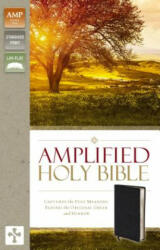 Amplified Holy Bible, Bonded Leather, Black - Zondervan Publishing (ISBN: 9780310443926)