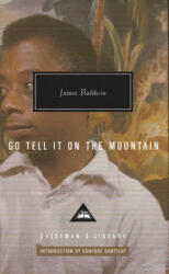 Go Tell It on the Mountain (ISBN: 9781841593715)