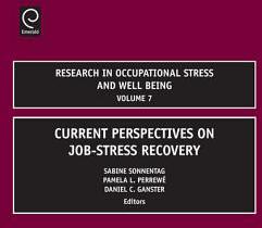 Research in Occupational Stress and Well Being (ISBN: 9781848555440)