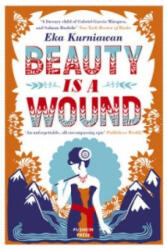 Beauty is a Wound - Eka Kurniawan (ISBN: 9781782272434)