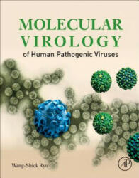 Molecular Virology of Human Pathogenic Viruses - Wang-Shic Ryu (ISBN: 9780128008386)