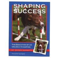 Shaping Success - Susan Garrett (ISBN: 9781892694133)