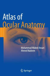 Atlas of Ocular Anatomy (ISBN: 9783319427805)