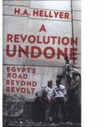 Revolution Undone - HA Hellyer (ISBN: 9781849046848)