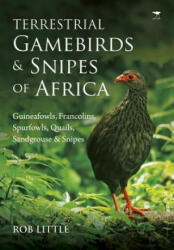 Terrestrial gamebirds & snipes of Africa - ROB LITTLE (ISBN: 9781431424146)