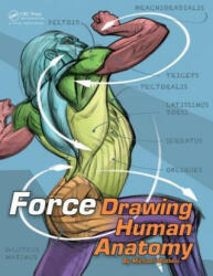 FORCE: Drawing Human Anatomy - Mike Mattesi (ISBN: 9780415733977)