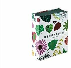 Herbarium: Notecards - Caz Hildebrand (ISBN: 9780500420669)