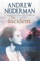 The Incident (ISBN: 9781847517128)
