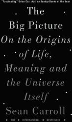 Big Picture - SEAN CARROLL (ISBN: 9781786071033)