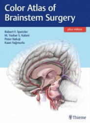 Color Atlas of Brainstem Surgery - Robert F. Spetzler, M. Yashar S. Kalani, Peter Nakaji, Kaan Yagmurlu (ISBN: 9781626230279)
