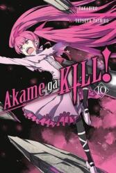 Akame ga KILL! , Vol. 10 - Takahiro (ISBN: 9780316469302)