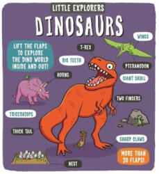 Little Explorers: Dinosaurs - DYNAMO LTD (ISBN: 9781783708154)