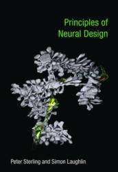 Principles of Neural Design - Peter Sterling, Simon Laughlin (ISBN: 9780262534680)