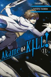 Akame ga KILL! , Vol. 11 - Takahiro (ISBN: 9780316439602)