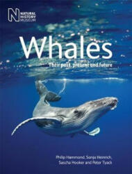 P ET AL HAMMOND - Whales - P ET AL HAMMOND (ISBN: 9780565094126)