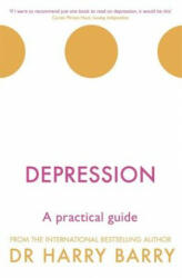 Depression - Harry Barry (ISBN: 9781409174493)