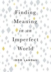 Finding Meaning in an Imperfect World (ISBN: 9780190657666)