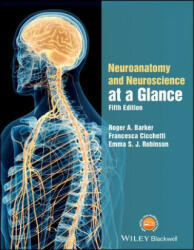 Neuroanatomy and Neuroscience at a Glance - Roger A. Barker, Francesca Cicchetti, Emma Robinson (ISBN: 9781119168416)