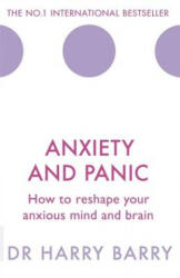 Anxiety and Panic - Harry Barry (ISBN: 9781409174516)