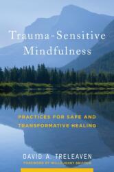 Trauma-Sensitive Mindfulness - David A. Treleaven (ISBN: 9780393709780)