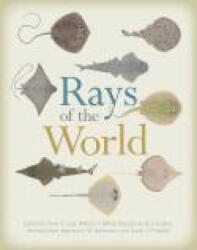 Rays of the World - Gavin J. P. Naylor, Marcelo R. De Carvalho, Peter R. Last (ISBN: 9781501705328)