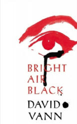 Bright Air Black - David Vann (ISBN: 9780099592266)