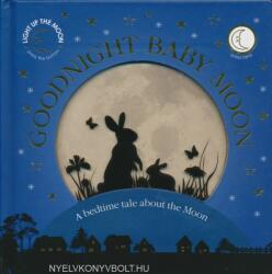Goodnight Baby Moon: A Bedtime Tale About the Moon (ISBN: 9780241276396)