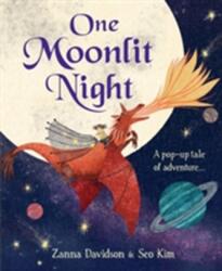 O noapte luminată de lună (ISBN: 9781783705818)