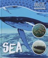 Sea (ISBN: 9781786372222)
