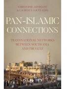 Pan Islamic Connections - Christophe Jaffrelot, Laurence Louer (ISBN: 9781849048187)