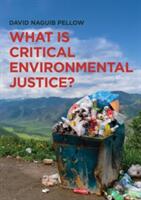 What Is Critical Environmental Justice? (ISBN: 9780745679389)