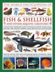 World Encyclopedia Of Fish & Shellfish And Other Aquatic Creatures - Derek Hall (ISBN: 9780754833581)