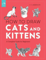 How To Draw Cats And Kittens - J. C. Amberlyn (ISBN: 9781580935005)