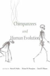 Chimpanzees and Human Evolution - Martin N. Muller, Richard W. Wrangham, David R. Pilbeam (ISBN: 9780674967953)