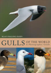 Gulls of the World - Klaus Malling Olsen (ISBN: 9781408181645)