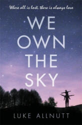 We Own The Sky - Luke Allnutt (ISBN: 9781409172277)