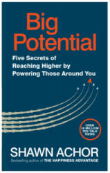 Big Potential - Shawn Achor (ISBN: 9780753552216)