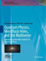 Quantum Physics Mini Black Holes and the Multiverse: Debunking Common Misconceptions in Theoretical Physics (ISBN: 9783319417080)
