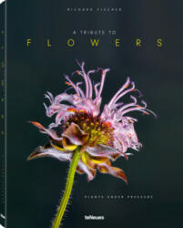 Tribute to Flowers - Richard Fischer (ISBN: 9783961711079)