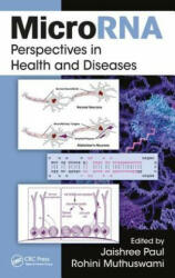 MicroRNA - PAUL (ISBN: 9781138054837)
