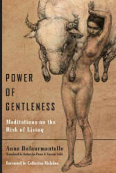 Power of Gentleness - Anne Dufourmantelle (ISBN: 9780823279609)