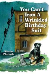 You Can't Iron a Wrinkled Birthday Suit (ISBN: 9781937084141)